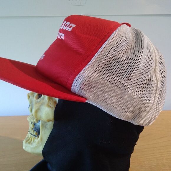 Vintage Johnson Pony Farm Minnesota Snap Back Trucker Hat - Picture 3 of 7